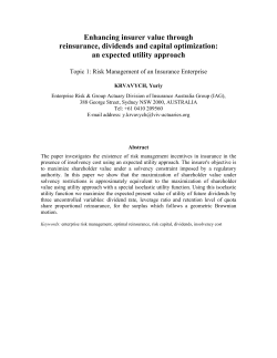 Enhancing insurer value through reinsurance, dividends and capital