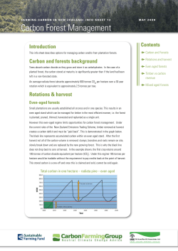 Carbon Forest Management