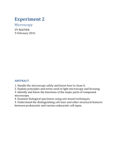 Experiment 2 - WordPress.com