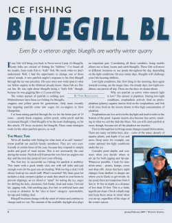 Ice FIshIng - New Hampshire Fish and Game Department