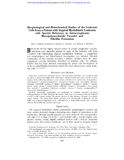 Morphological atid Histochemical Studies of the Leukemic Cells