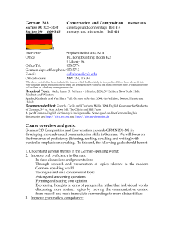 German 313