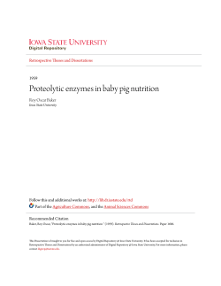 Proteolytic enzymes in baby pig nutrition