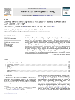 Studying intracellular transport using high
