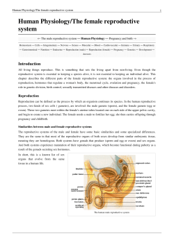 Human Physiology/The Female Reproductive System