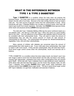 INTRODUCTION TO TYPE 1 DIABETES MELLITUS