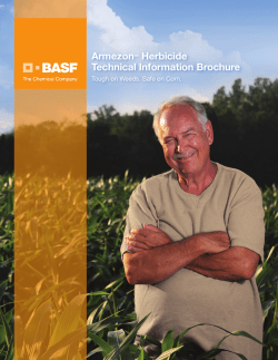 Armezon&trade; Herbicide Technical Information Brochure