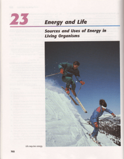ffiffi Energy snd Life