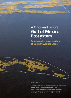 A Once and Future Gulf of Mexico Ecosystem