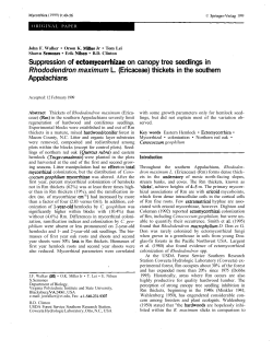 Suppression of ectomycorrhizae on canopy tree seedlings in