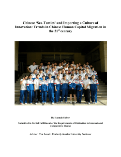 Chinese `Sea-Turtles` and Importing a Culture of Innovation: Trends
