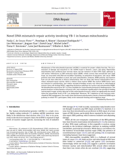 DNA Repair Novel DNA mismatch-repair activity involving YB