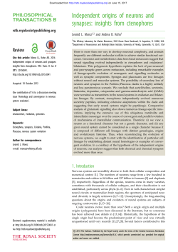 Independent origins of neurons and synapses