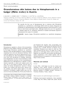 Granulomatous skin lesions due to histoplasmosis in a badger