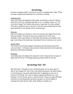 The importance of scratching: