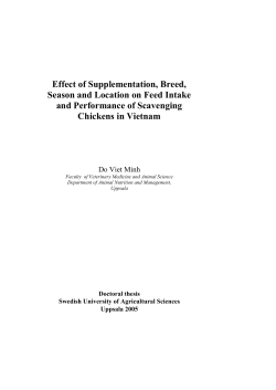 Effect of Supplementation, Breed, Season and Location on Feed