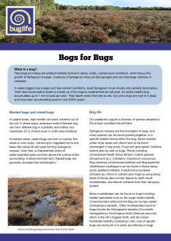 Bogs for Bugs