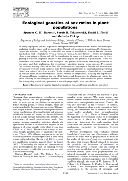 Ecological genetics of sex ratios in plant populations