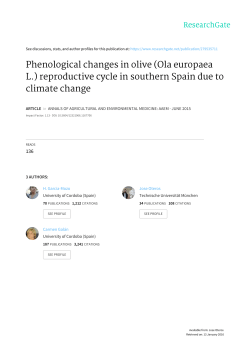 Phenological changes in olive (Ola europaea L.) reproductive
