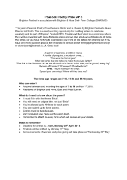 useful tips and competition rules