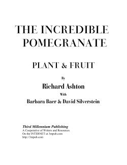 the incredible pomegranate