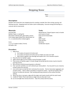 Stepping Stone Worksheet