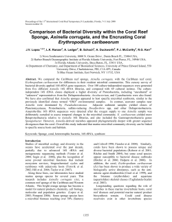 Comparison of Bacterial Diversity within the Coral Reef Sponge