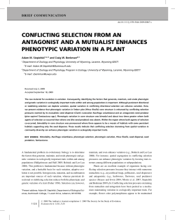 conflicting selection from an antagonist and a mutualist enhances