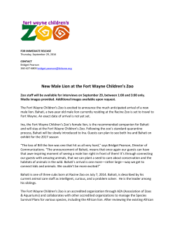 New Male Lion at the Fort Wayne Children`s Zoo