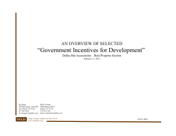 Government Incentives for Development