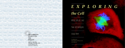 Exploring The Cell