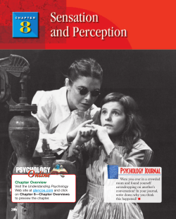 Chapter 8: Sensation and Perception