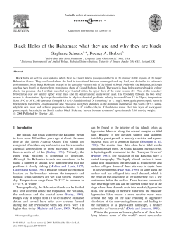 Black Holes of the Bahamas: what they are and why they are black
