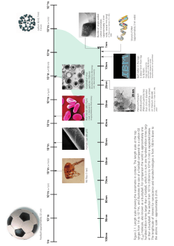Nano report 04 fin4 - Nanoscience and nanotechnology