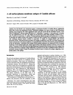 A cell surface/plasma membrane antigen of Candida