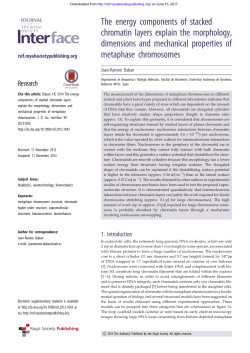 The energy components of stacked chromatin layers explain the