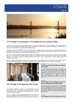 N&Acirc;&ordm; 11 | November 2013 - TPF PLANEGE | Consultores de