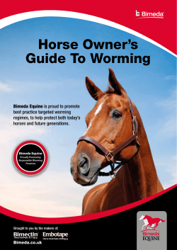 Horse Owner`s Guide To Worming