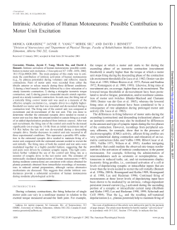 Intrinsic Activation of Human Motoneurons: Possible Contribution to