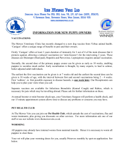 Info For New Puppy Owners