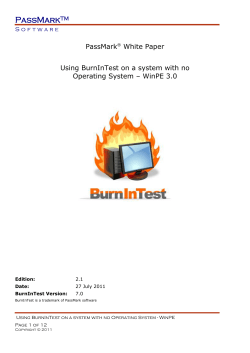 Using BurnInTest with WinPE