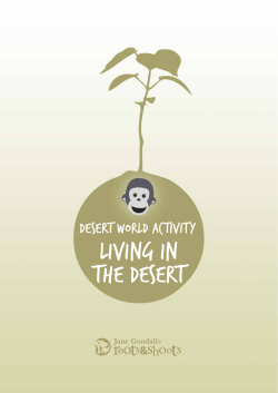 the Living in the Desert activity