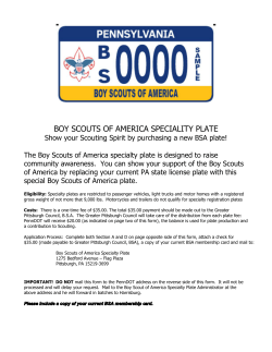 boy scouts of america speciality plate - Troop 44
