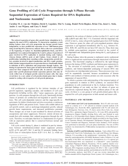 Gene Profiling of Cell Cycle Progression through S
