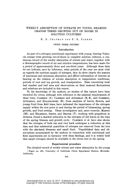 SOLUTION CULTURES` that the nitrogen of both