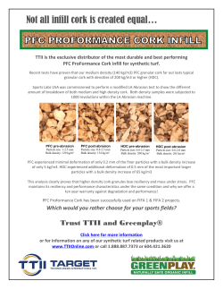 GREENPLAY PFC CORK Infill
