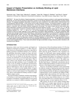 Impact of Hapten Presentation on Antibody Binding at Lipid