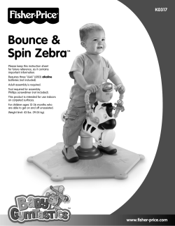 K0317 - Service Mattel