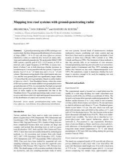 Mapping tree root systems with ground