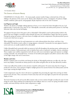 The Science of Autumn Beauty